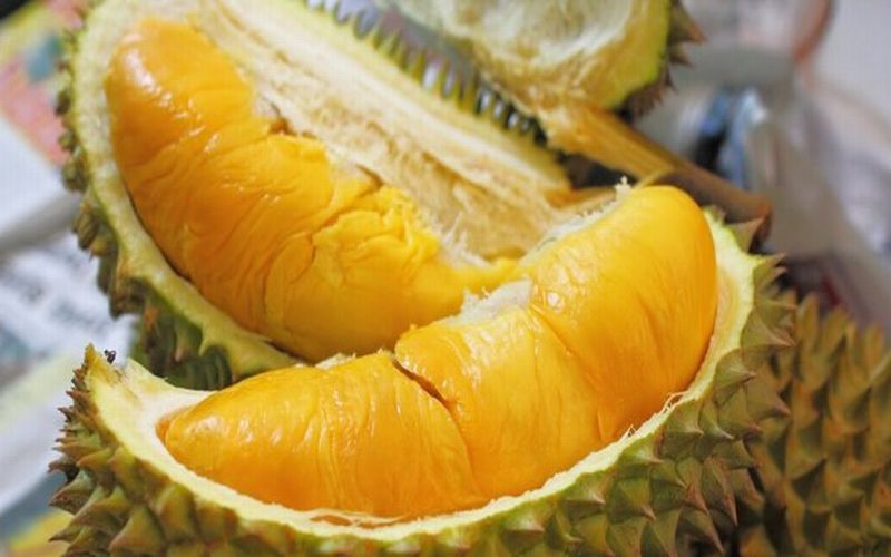 Omzet Menjanjikan Bisnis Buah Ratu Dunia