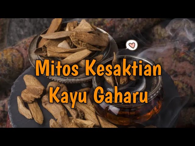 Mitos Kayu Gaharu